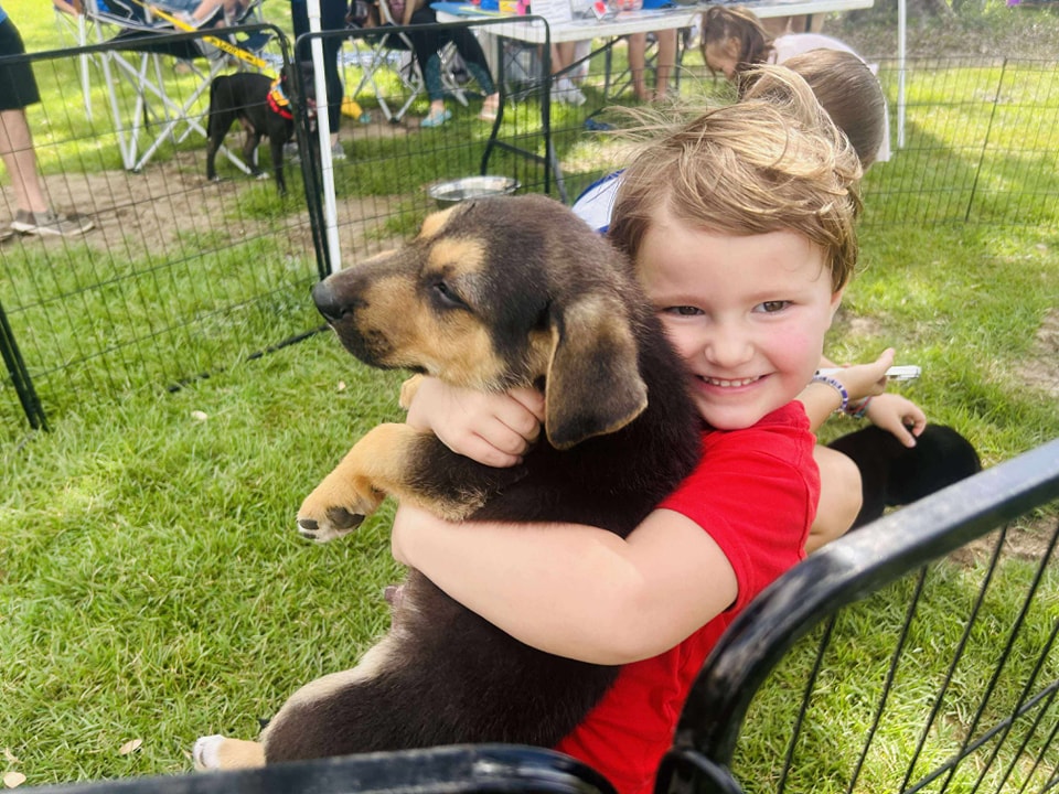 Child hugging puppy in playpen