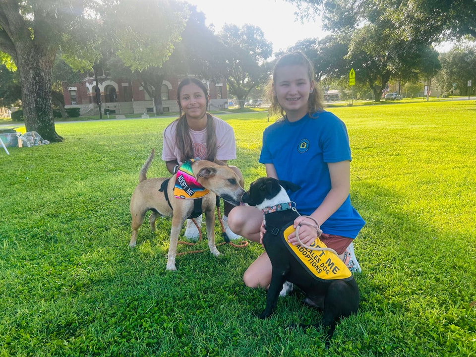Kids with adoptable dogs in the park
